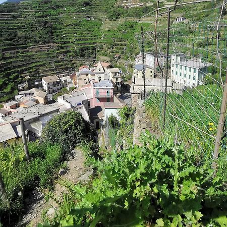 Sentieri Sul Mare Hotel Manarola Kültér fotó