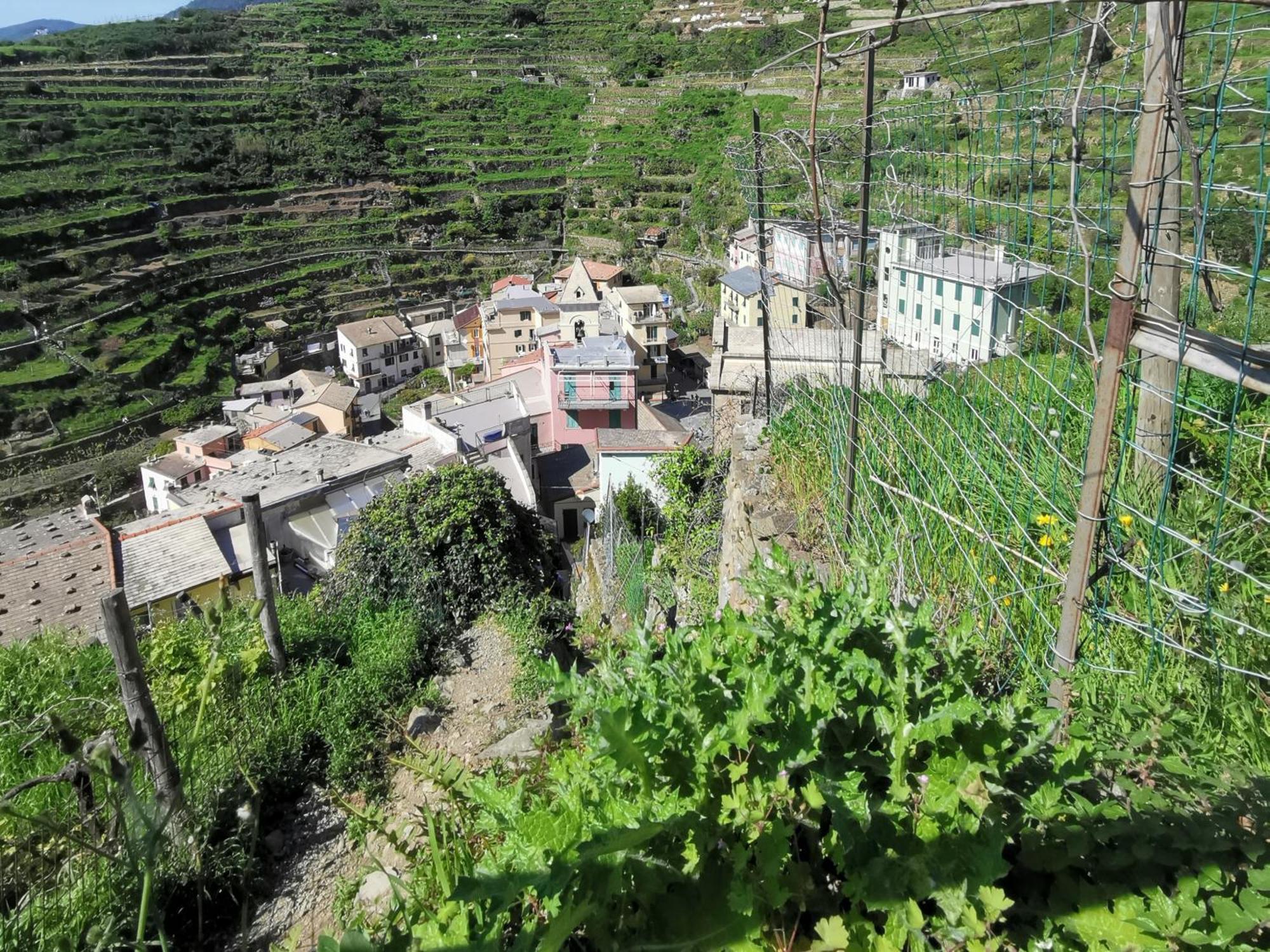 Sentieri Sul Mare Hotel Manarola Kültér fotó